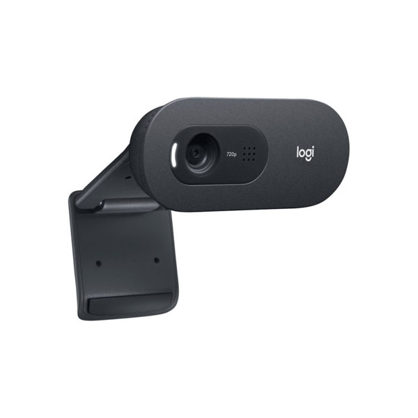 وب کم لاجیتک مدل LOGITECH C505E HD - Image 3